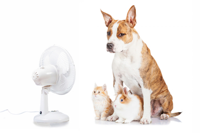 Beat the Heat with 12 Easy AC Tips for Summertime 
